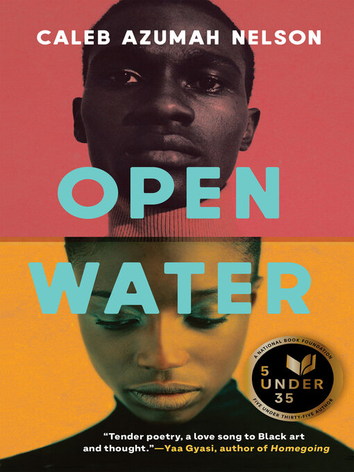 Title details for Open Water by Caleb Azumah Nelson - Wait list